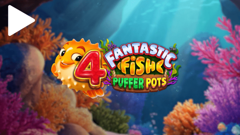 15 4 Fantastic Fish Puffer Pots Trailer