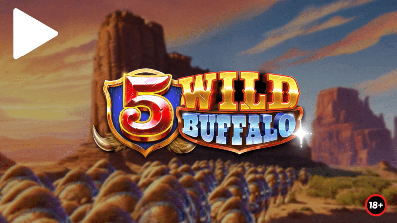 25 5 Wild Buffalo