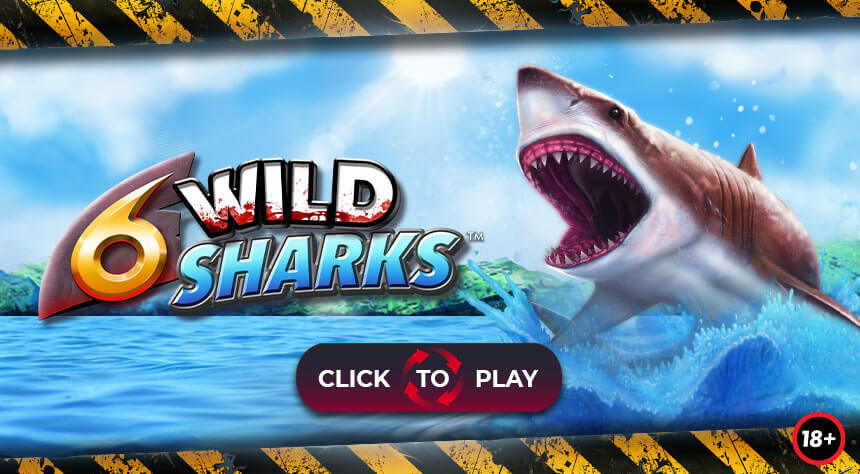 6 Wild Sharks